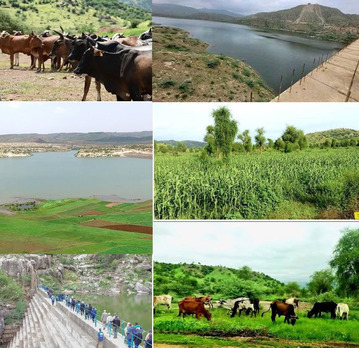 agriculture landscape